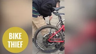 Thief uses a pair of bolt cutters to break through a bicycle lock