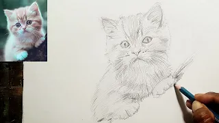 How to Draw Cat with pencil