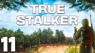 S.T.A.L.K.E.R. True Stalker #11. Бандитская Долина