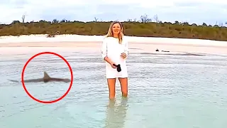 6 Shark Encounters That'll Make Your Jaw Drop