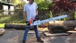 Stihl ms 880 150cm vs big oak log