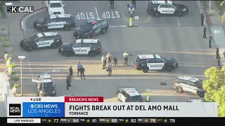 Massive brawl draws multi-agency response from law enforcement at Del Amo Fashion Center