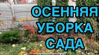 🍁Осенняя уборка сада. 🐝Обрезка гортензии. Психанула и купила 2 тонны гальки