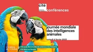 À quoi pensent les abeilles ? - JOURNÉE MONDIALE DES INTELLIGENCES ANIMALES