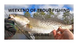 Weekend of Trout fishing