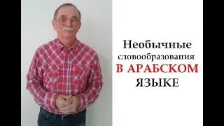 Необычные словообразования в арабском языке