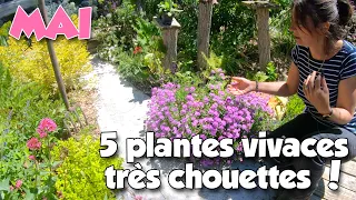 5 plantes vivaces astuces aux mauvaises herbes, pépinière Auvergne