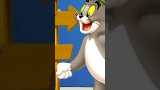 Tom and Jerry friendship