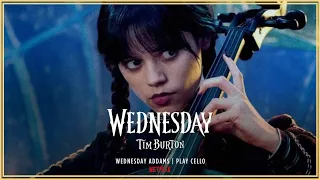 Wednesday - Paint It Black Cello Version Extended