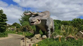 Edinburgh Zoo Scotland || Visit Edinburgh's Most Popular Attraction