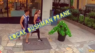 bushman prank januari 2021