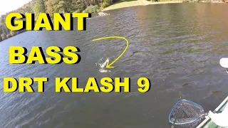 How to FISH *DRT KLASH 9* (Guarantee Catches)