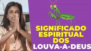 Significado espiritual dos Louva-a-Deus com a vidente Vandinha Lopes