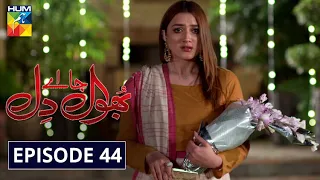 Bhool Jaa Ay Dil Episode 44 HUM TV Drama 14 January 2021