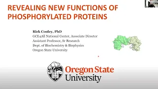 PermaPhos: Revealing New Functions of Phosphorylated Proteins