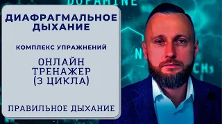 Диафрагмальное дыхание. Как правильно дышать? Онлайн-тренажер