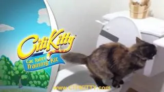 Great Toilet Training Success - Train Your Cat with CitiKitty