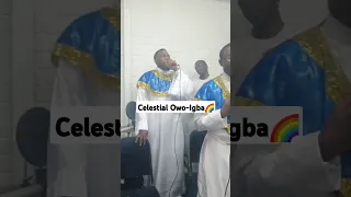 Celestial Owo-Igba