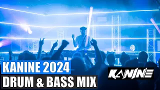 Drum & Bass Mix 2024 - Best of Kanine