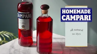 How I Made Campari From Scratch Recipe