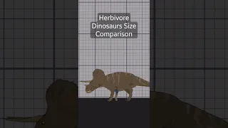 HERBIVORE DINOSAURS Size Comparison | Triceratops