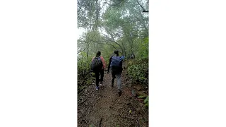 Andharban - The Jungle Trek || Andharban 2021 || Monsoon Trek