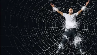 Imagine If You Were Caught in a Huge Spider Web?