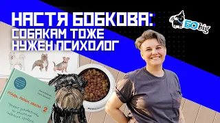 Кинолог Анастасия Бобкова: о дрессировке, психологии и отношении к собакам в России