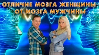 Отличие мозга женщины от мозга мужчины