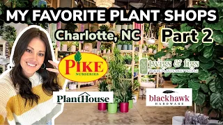 Favorite Plant Nurseries Part 2 - Best Plant Shopping in Charlotte, NC  - Shop With Me