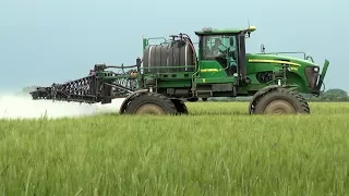 John Deere 4730 Sprayer - Spraying Wheat  | Claas Ares 557 ATZ ; John Deere 6150R