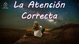 La Atención Correcta - Sabiduría de Buda