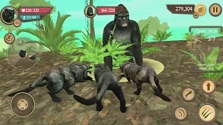 Wild Panther Sim 3D Android Gameplay #22