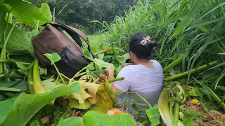 Air terjun tersembunyi jalur nya sangat menguji adrenalin