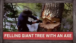 Felling Giant Tree with an Axe!