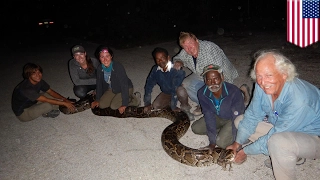 Man vs. snake: Florida flies in Irula Indian tribesmen to fix Burmese python problem - TomoNews