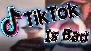TikTok Is The Worst Application Ever Created