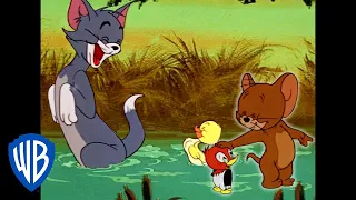 Tom & Jerry | It Runs in the Family | Classic Cartoon Compilation | WB Kids