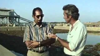 Jacques Cousteau The Nile 2 2of6.avi