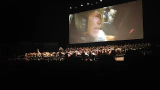 El Señor de Los Anillos - LOTR - Ride of the Rohirrim 🐴 - Concierto directo