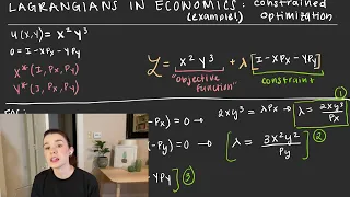 lagrangians in economics: an example