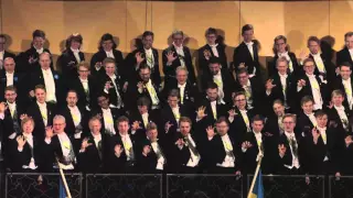 It's Raining Men - Stockholms Studentsångares Jubileum 2015