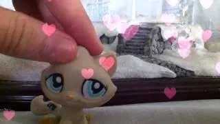 "Lps Underneath the Tree" Fan Video