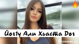 Арби Битерсултанов Йог1у Али Хьаста Дог😍