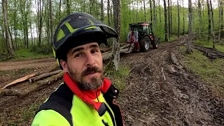 The last logging with an older Zetor Proxima 90 plus tractor, Amles, Stihl 462, Forestwork