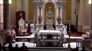 Séptimo Domingo de Pascua - Ascensión | Cathedral of the Immaculate Conception