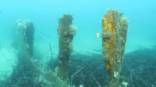 Epave ou restes du Champagne de Bastia - EPAVE CORSE - Septembre 2015