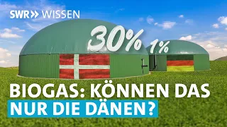 Mais, Mist und Methan. Ist Biogas eine Alternative zu Erdgas? | SWR Wissen