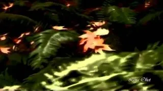 Diana Krall ღ Autumn Leaves