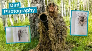 Bird Photography in the Forest. Using camouflage & a ghillie suit to photograph a Woodpecker nest